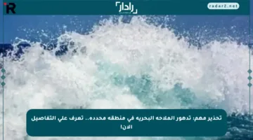 تحذير مهم: تدهور الملاحة البحرية في منطقة محددة.. تعرف على التفاصيل الآن!